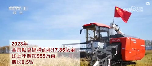 糧油豐供給足，谷物種植為經濟持續恢復向好提供堅實支撐