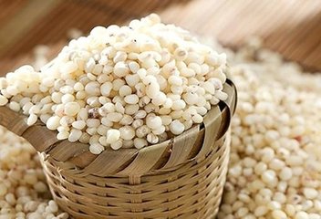 固原市原州區浩宇種植農民專業合作社 多元化高粱種植，守護谷物生產多樣性